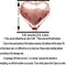 Rose Gold Heart Foil Mylar Balloons - Valentines Day Party Wedding Bachelorette Anniversary Birthday Bridal Shower Party Favors Balloons Decorations, 50pc